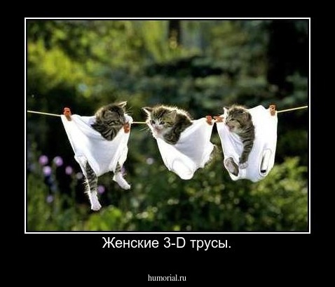 Женские 3-D трусы.