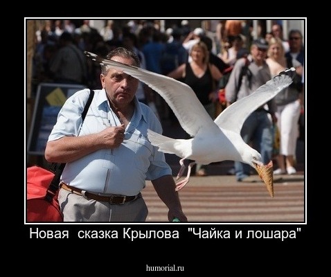 Новая  сказка Крылова  "Чайка и лошара"