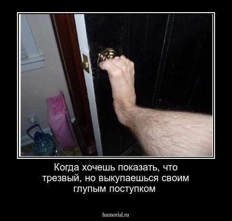 Когда хочешь показать, что трезвый, но выкупаешься своим глупым поступком