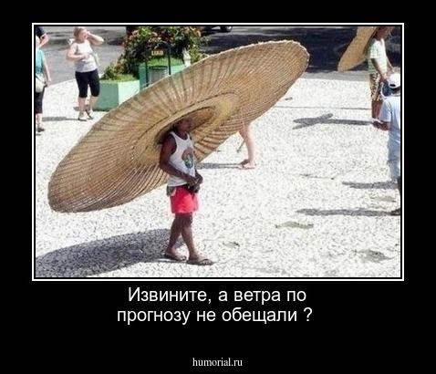 Извините, а ветра по прогнозу не обещали ?