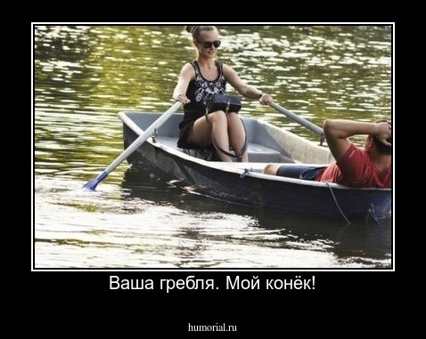 Ваша гребля. Мой конёк!