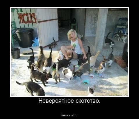 Невероятное скотство.