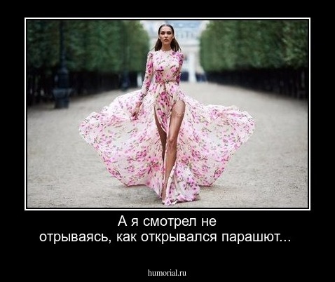 А я смотрел не отрываясь, как открывался парашют...