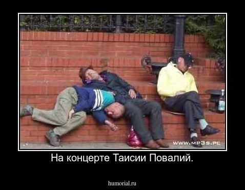 На концерте Таисии Повалий.