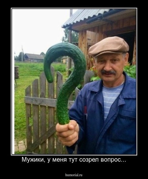  Мужики, у меня тут созрел вопрос...