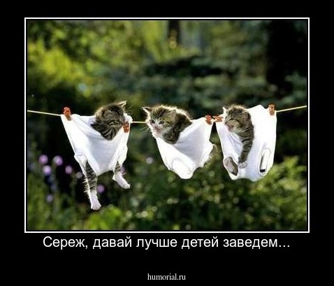   Сереж, давай лучше детей заведем...