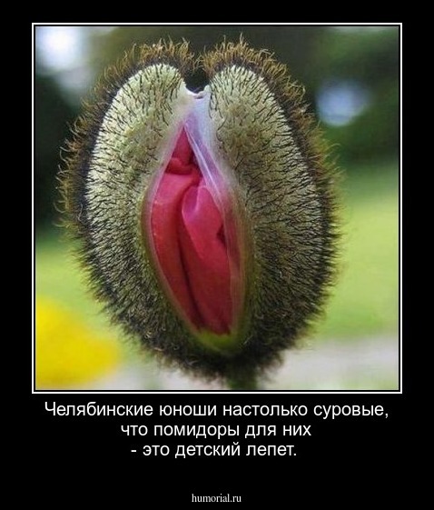 Челябинские юноши настолько суровые, что помидоры для них - это детский лепет.