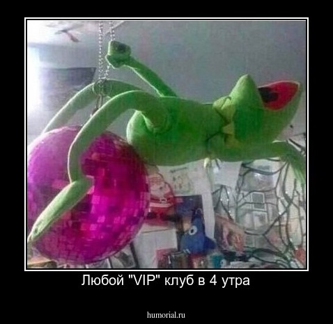   Любой "VIP" клуб в 4 утра