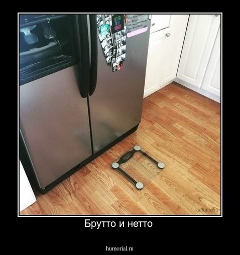 Брутто и нетто 