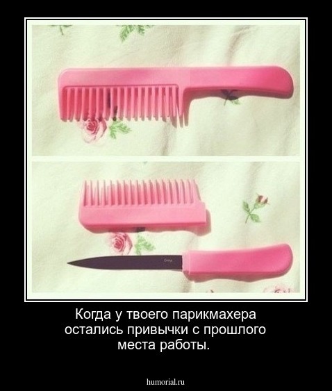 Когда у твоего парикмахера остались привычки с прошлого места работы.