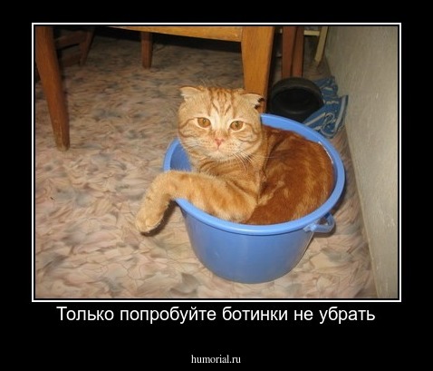 Только попробуйте ботинки не убрать
