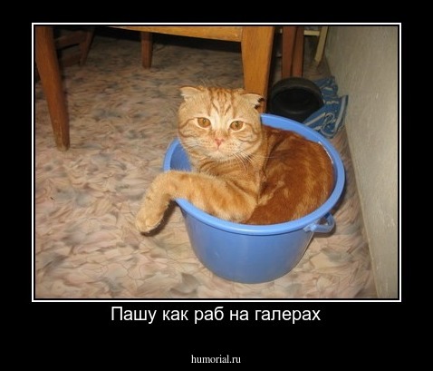 Пашу как раб на галерах