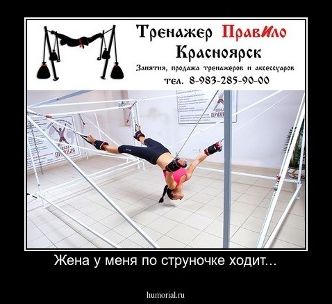 Жена у меня по струночке ходит...
