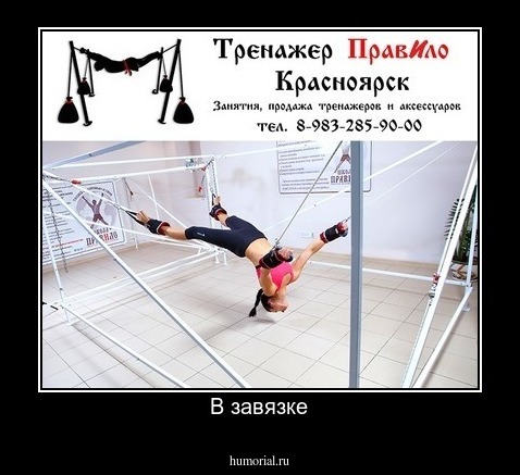 В завязке