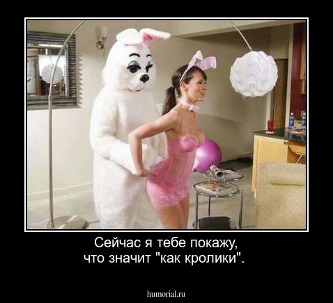 Сейчас я тебе покажу, что значит "как кролики".