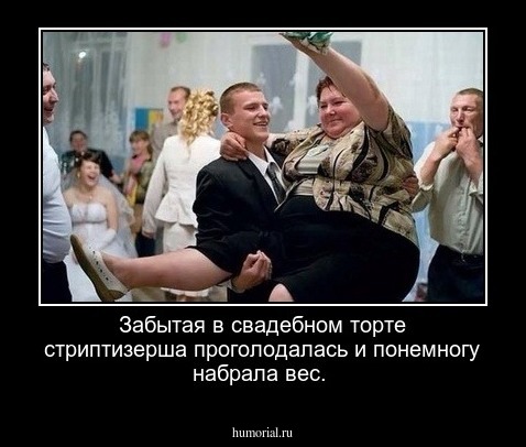 Забытая в свадебном торте стриптизерша проголодалась и понемногу набрала вес. 