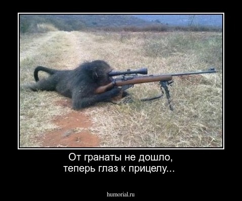 От гранаты не дошло, теперь глаз к прицелу...
