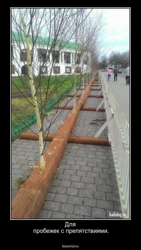 Для
 пробежек с препятствиями.