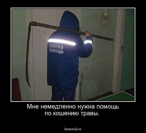 Мне немедленно нужна помощь по кошению травы.