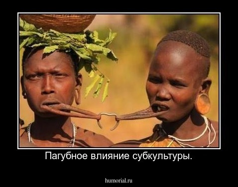 Пагубное влияние субкультуры.