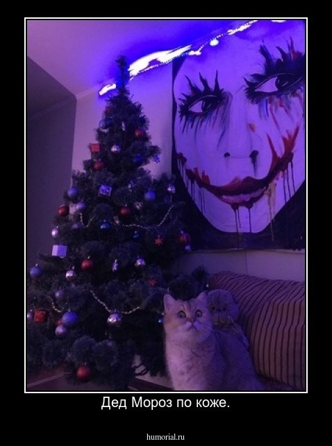 Дед Мороз по коже.