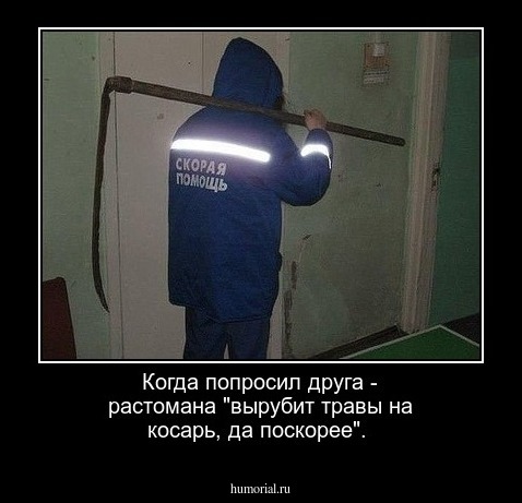 Когда попросил друга - растомана "вырубит травы на косарь, да поскорее".