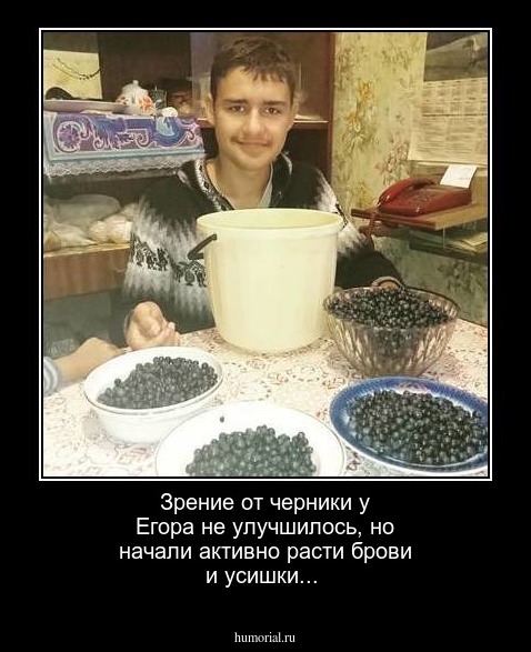 Зрение от черники у Егора не улучшилось,  но начали активно расти брови и усишки...