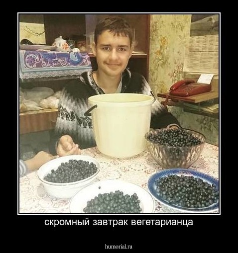 скромный завтрак вегетарианца