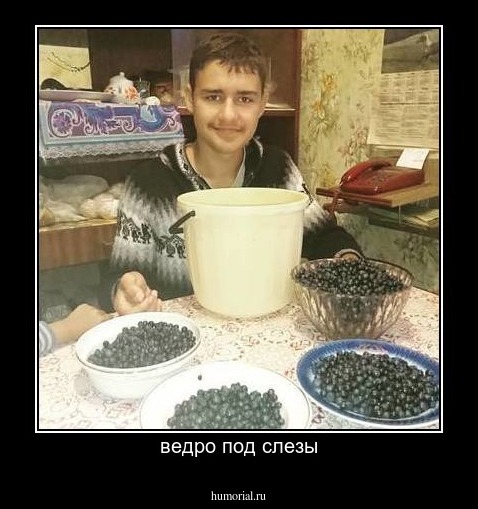 ведро под слезы