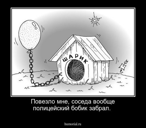 Повезло мне, соседа вообще полицейский бобик забрал.
