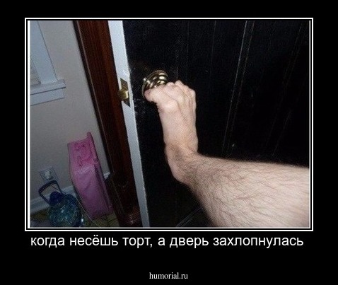 когда несёшь торт, а дверь захлопнулась 
