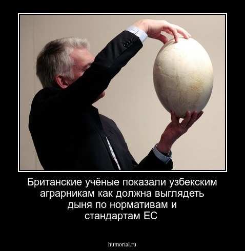 Британские  учёные  показали  узбекским аграрникам как должна выглядеть  дыня по нормативам   и стандартам ЕС