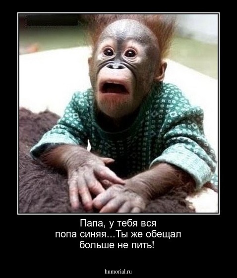 Папа, у тебя вся попа синяя...Ты же обещал больше не пить!