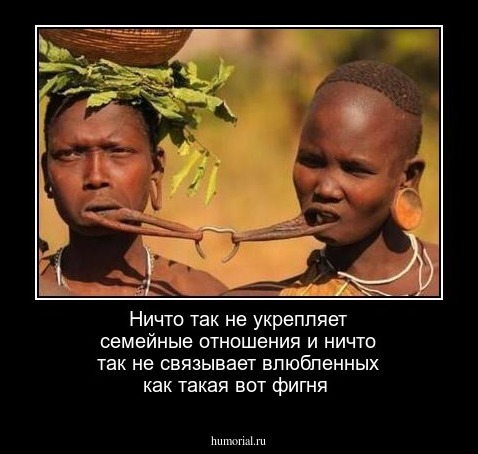  Ничто так не укрепляет семейные отношения и ничто так не связывает влюбленных   как  такая вот  фигня