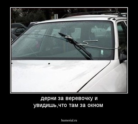 дерни за веревочку и увидишь,что там за окном