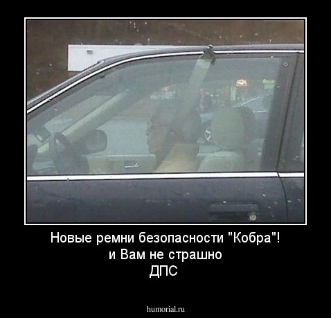 Новые ремни безопасности "Кобра"! и Вам не страшно ДПС