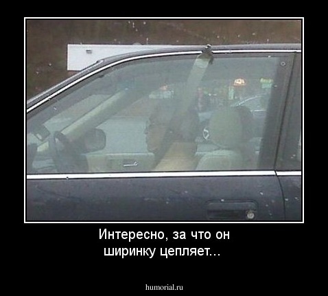 Интересно, за что он ширинку цепляет...