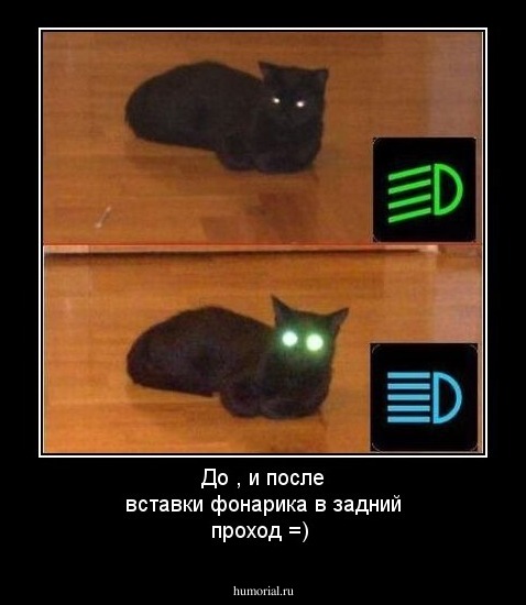 До , и после вставки фонарика в задний проход =)