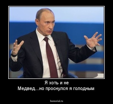 Я хоть и не Медвед...но проснулся я голодным