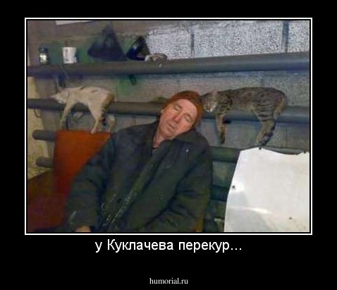 у Куклачева перекур...