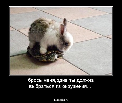 брось меня,одна ты должна выбраться из окружения...