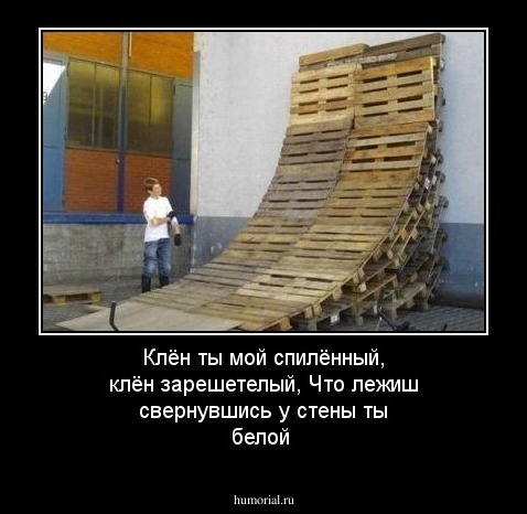 Клён ты мой спилённый, клён зарешетелый,
Что лежиш свернувшись у стены ты белой