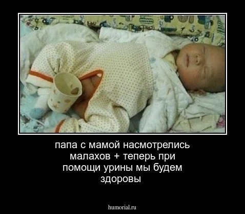 папа с мамой насмотрелись малахов + теперь при помощи урины мы будем здоровы