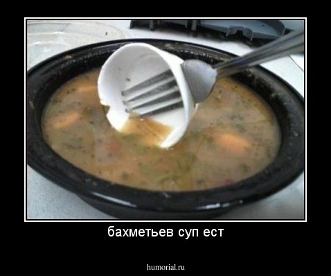 бахметьев суп ест