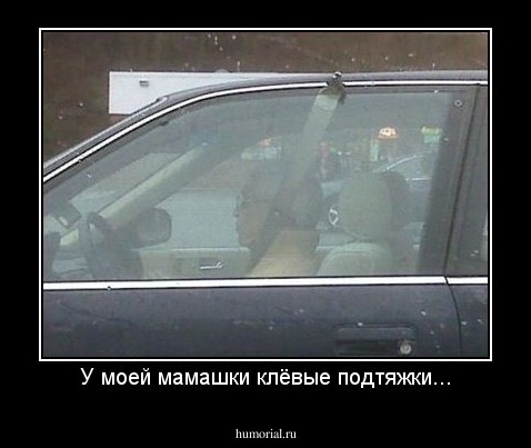 У моей мамашки клёвые подтяжки...