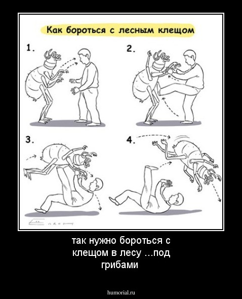 так нужно бороться с клещом в лесу ...под грибами