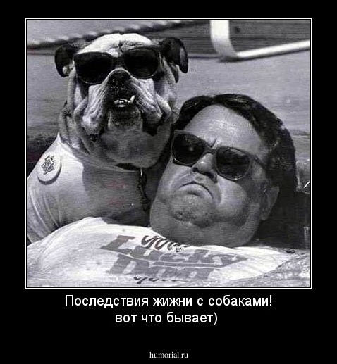 Последствия жижни с собаками! вот что бывает)