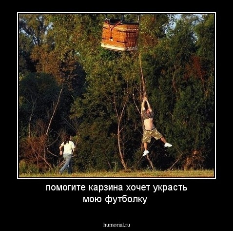 помогите карзина хочет украсть мою футболку