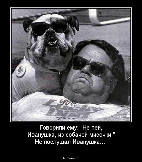 Говорили ему: "Не пей, Иванушка, из собачей мисочки!"
Не послушал Иванушка...