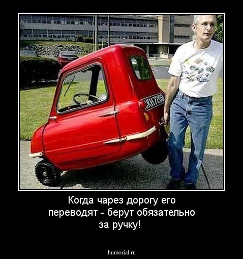 Когда чарез дорогу его переводят - берут обязательно за ручку!